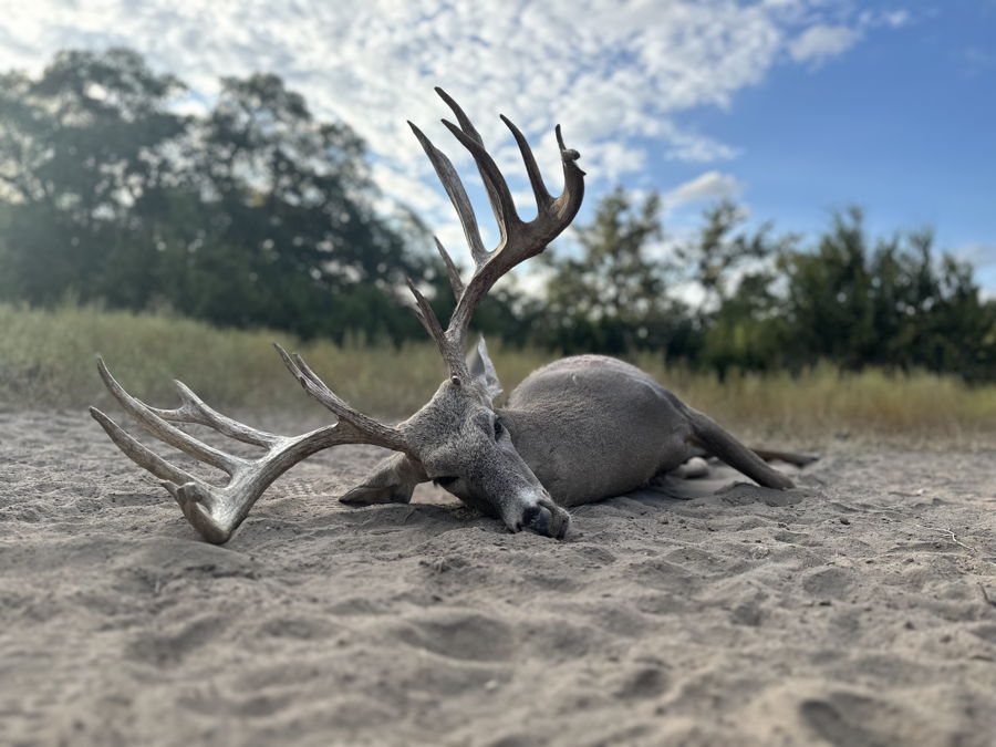 PM Guiding Service hunt photo