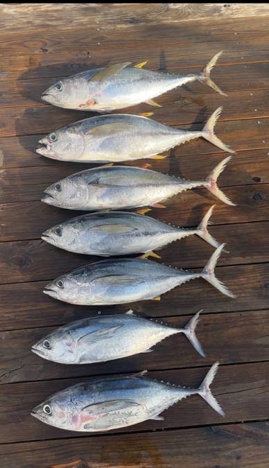 18 Reeler Sportfishing — Outer Banks charter photo