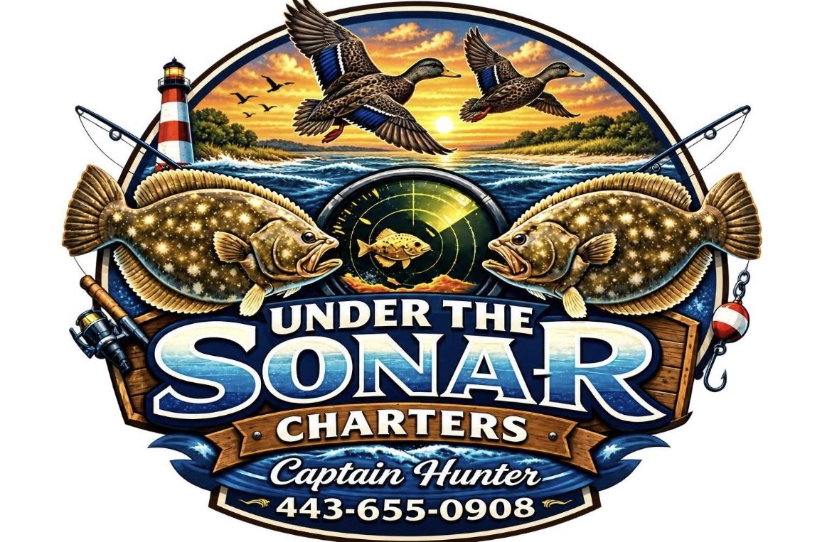Under the Sonar Charters
