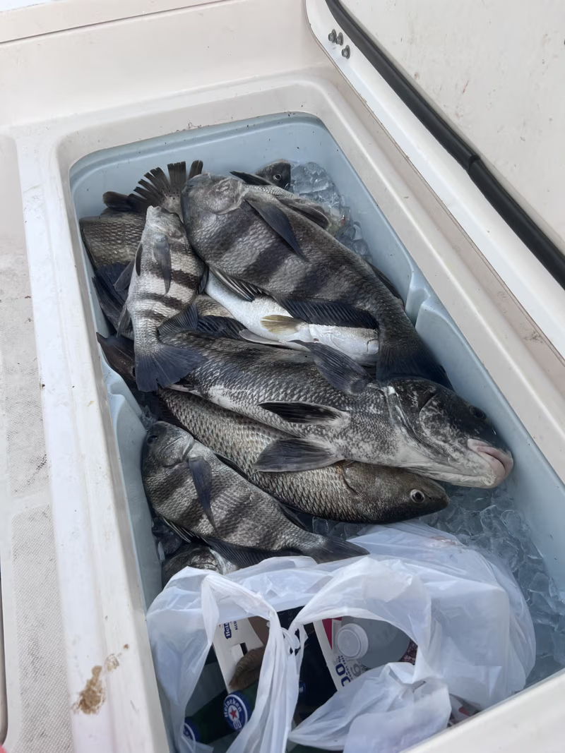 Open media 35