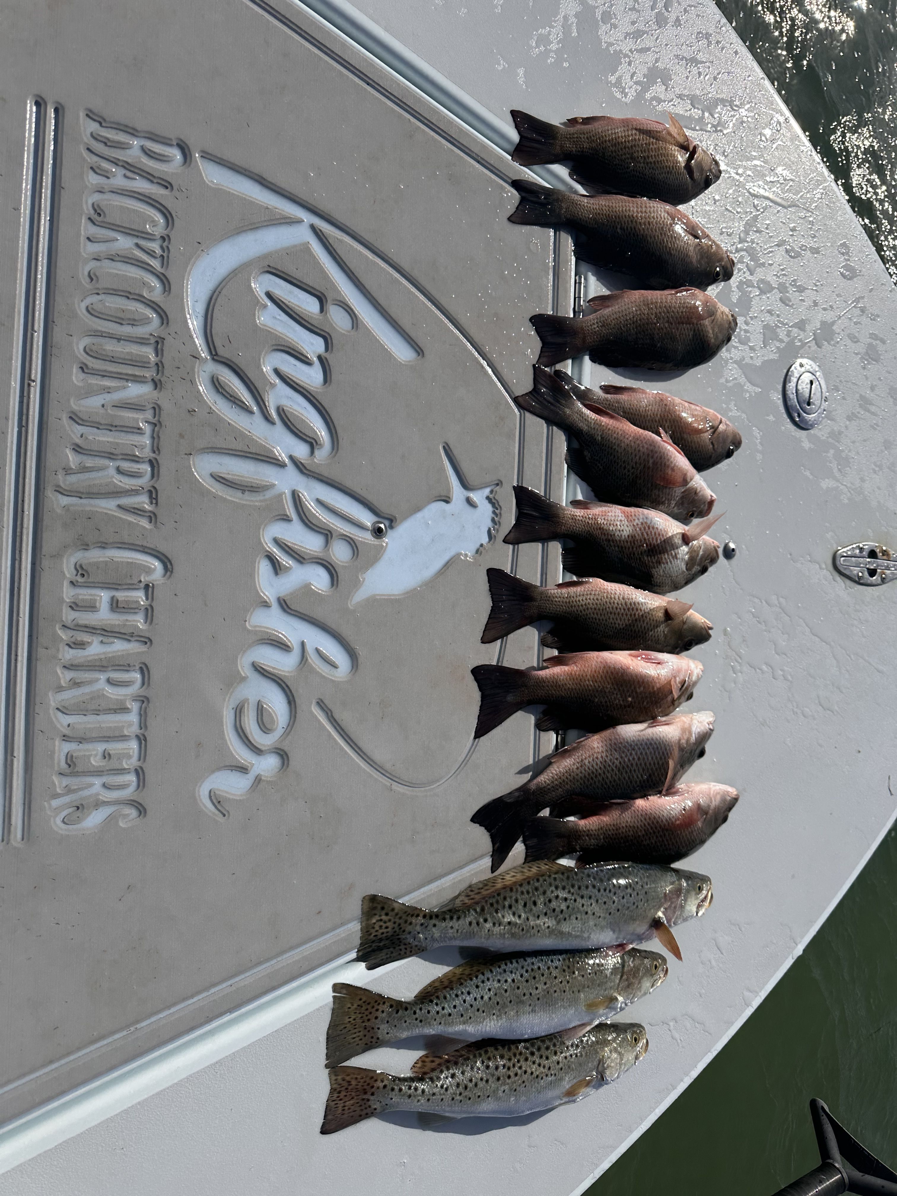 Open media 19