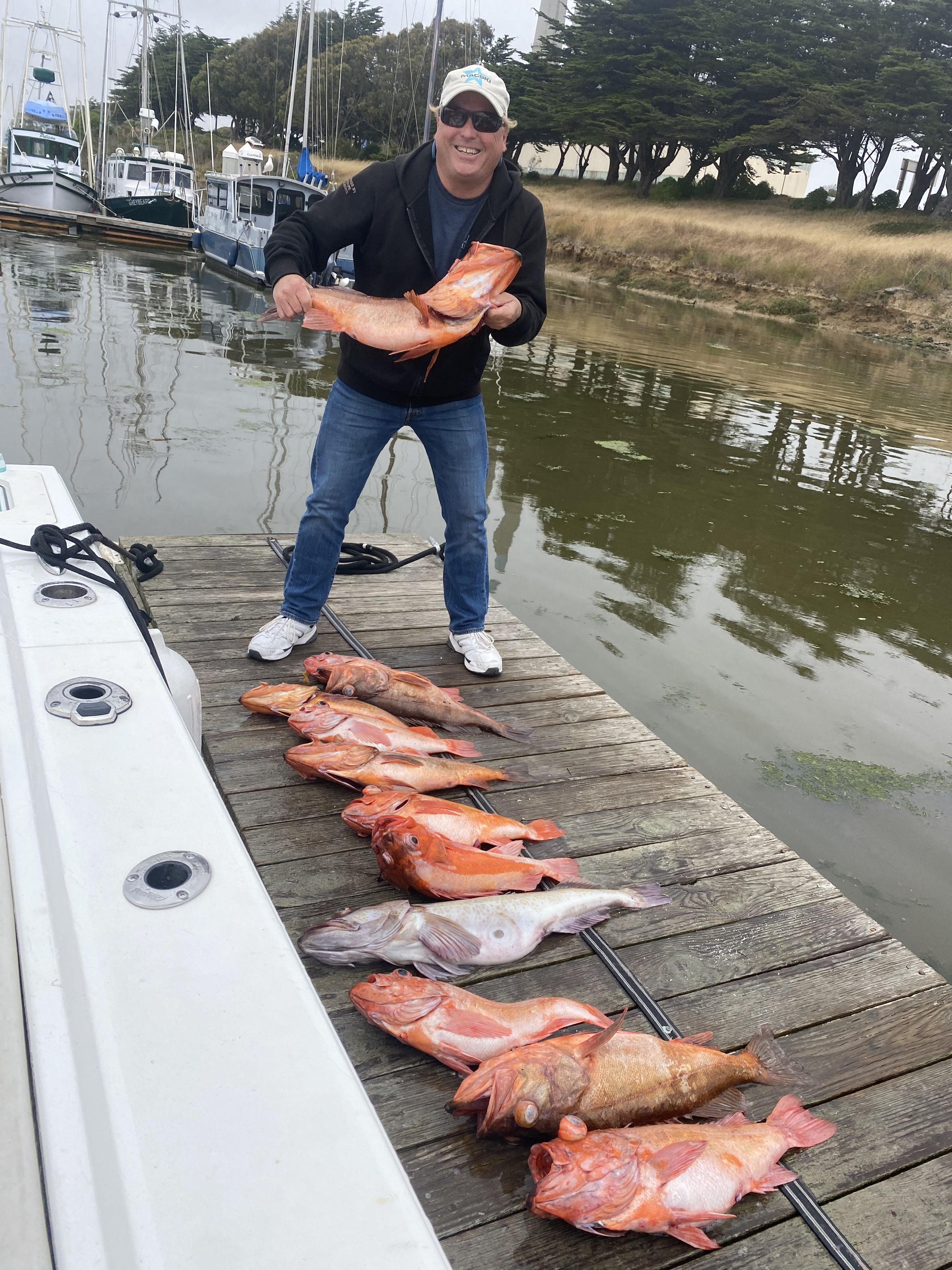 Open media 44