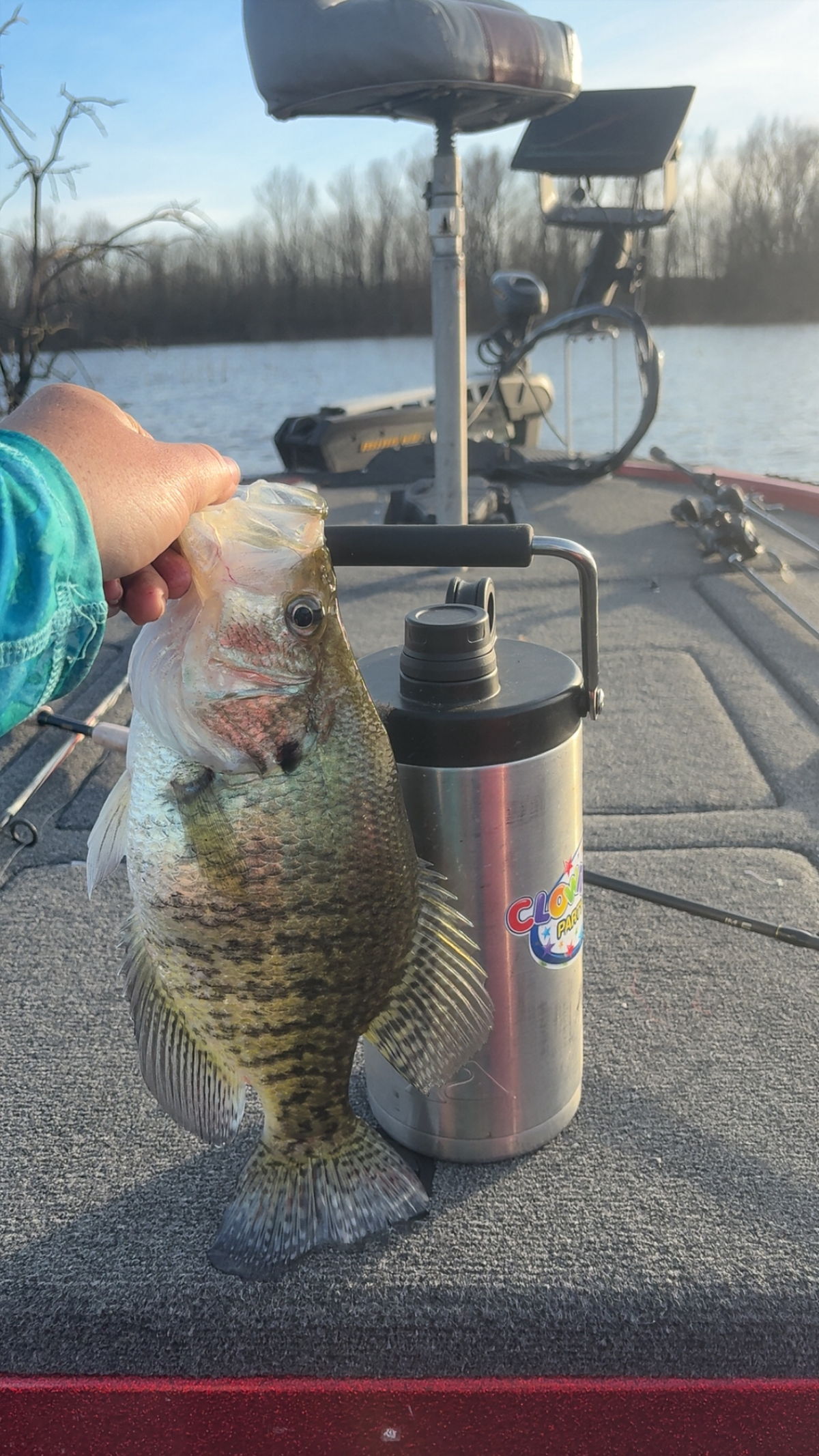 Hooked On Arkansas guided fishing trip