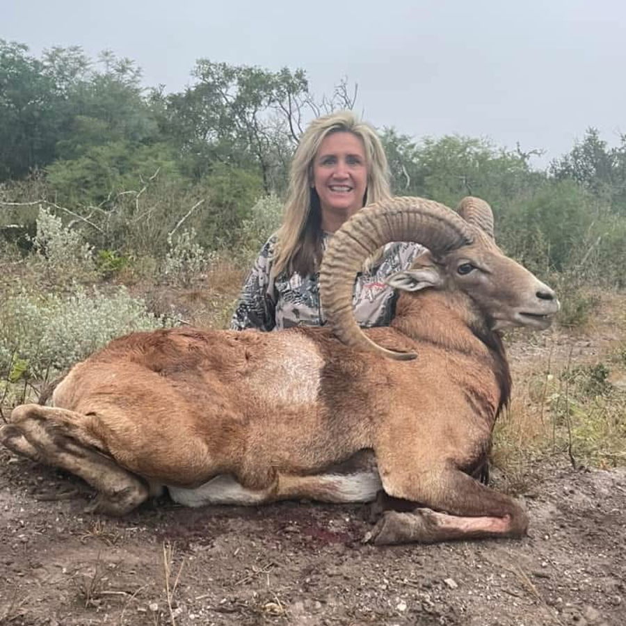 Aoudad ram taken on a West Texas hunt