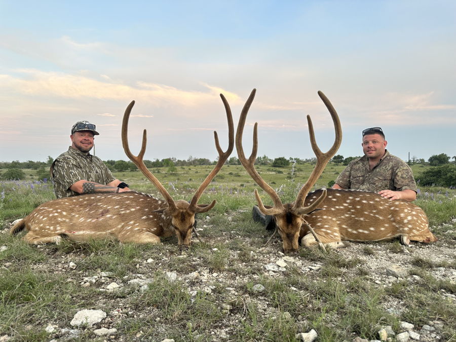PM Guiding Service hunt photo