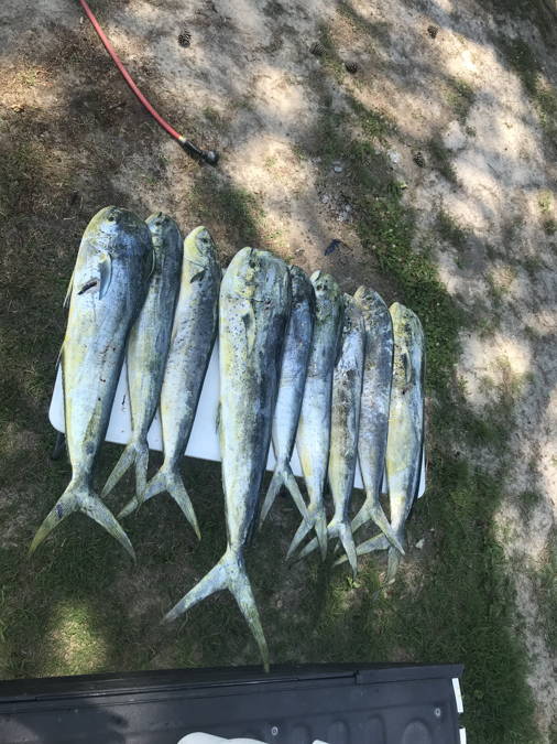 18 Reeler Sportfishing — Outer Banks charter photo