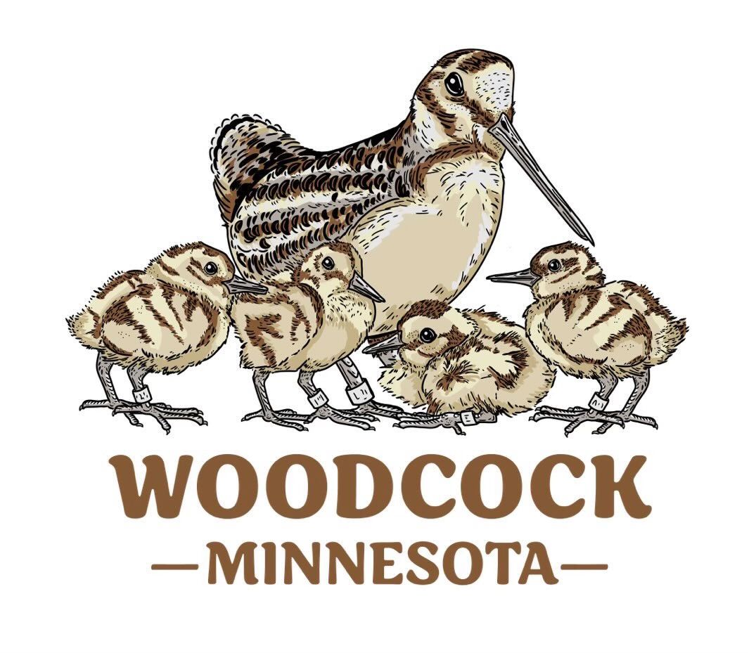 Woodcock MN