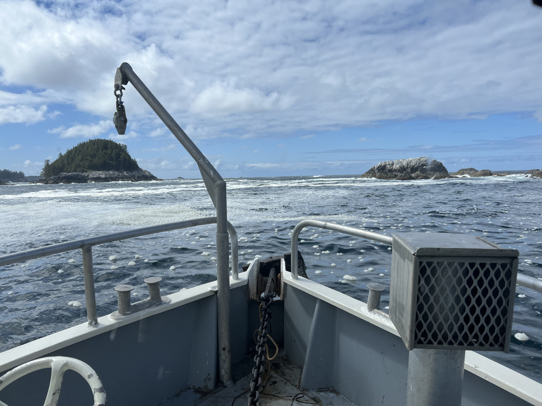 Self-Guided North Coast Hunting — Pick-Up / Drop-Off & Accommodations on the North Coast