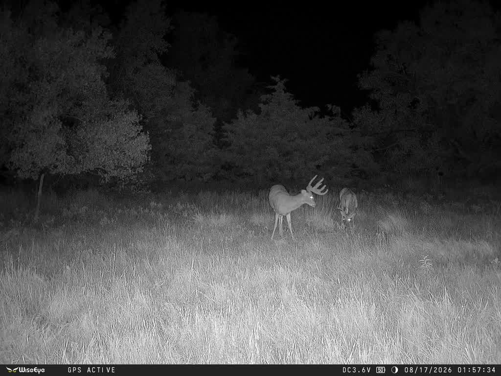 NW Oklahoma grows em big 