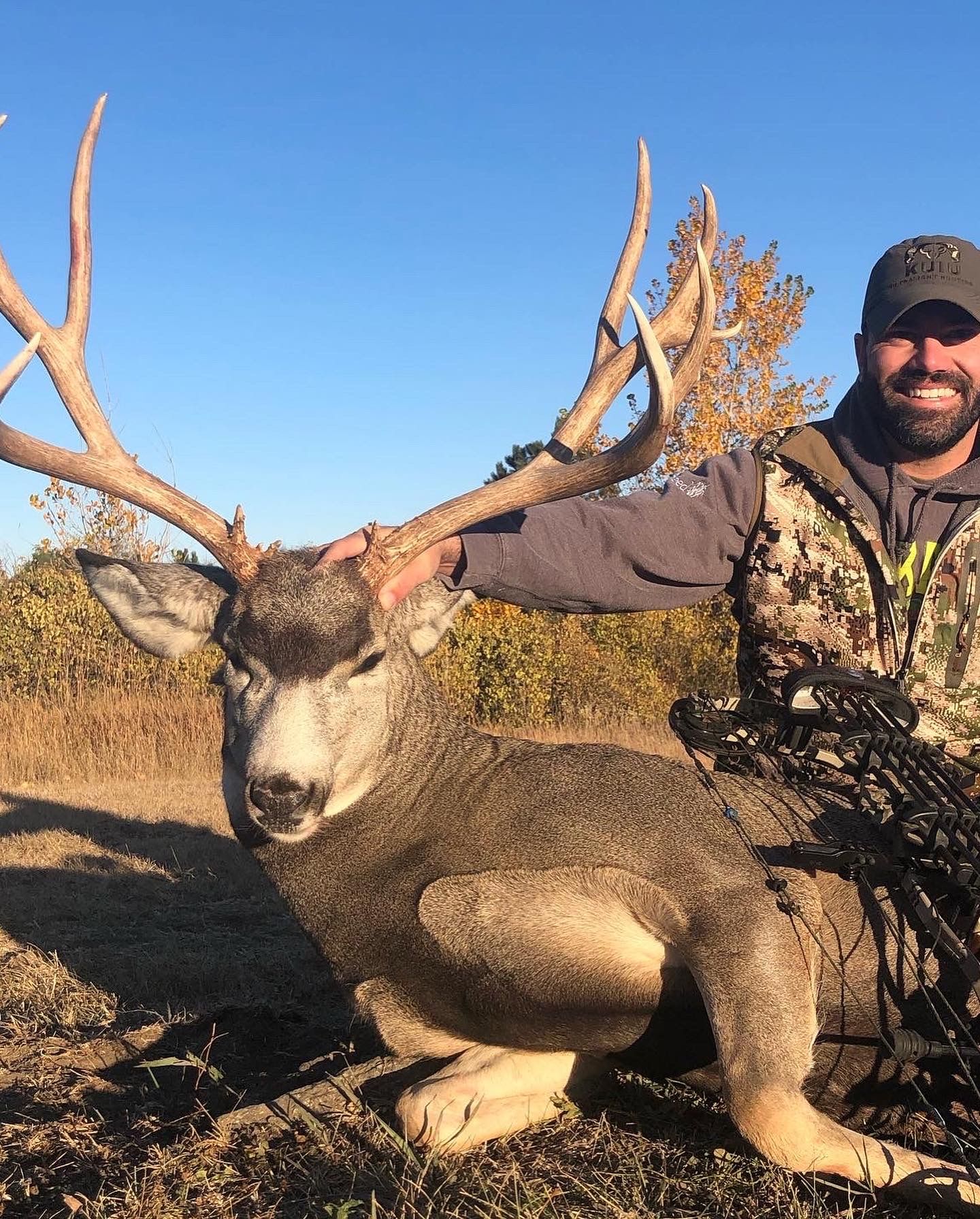 Open media 17