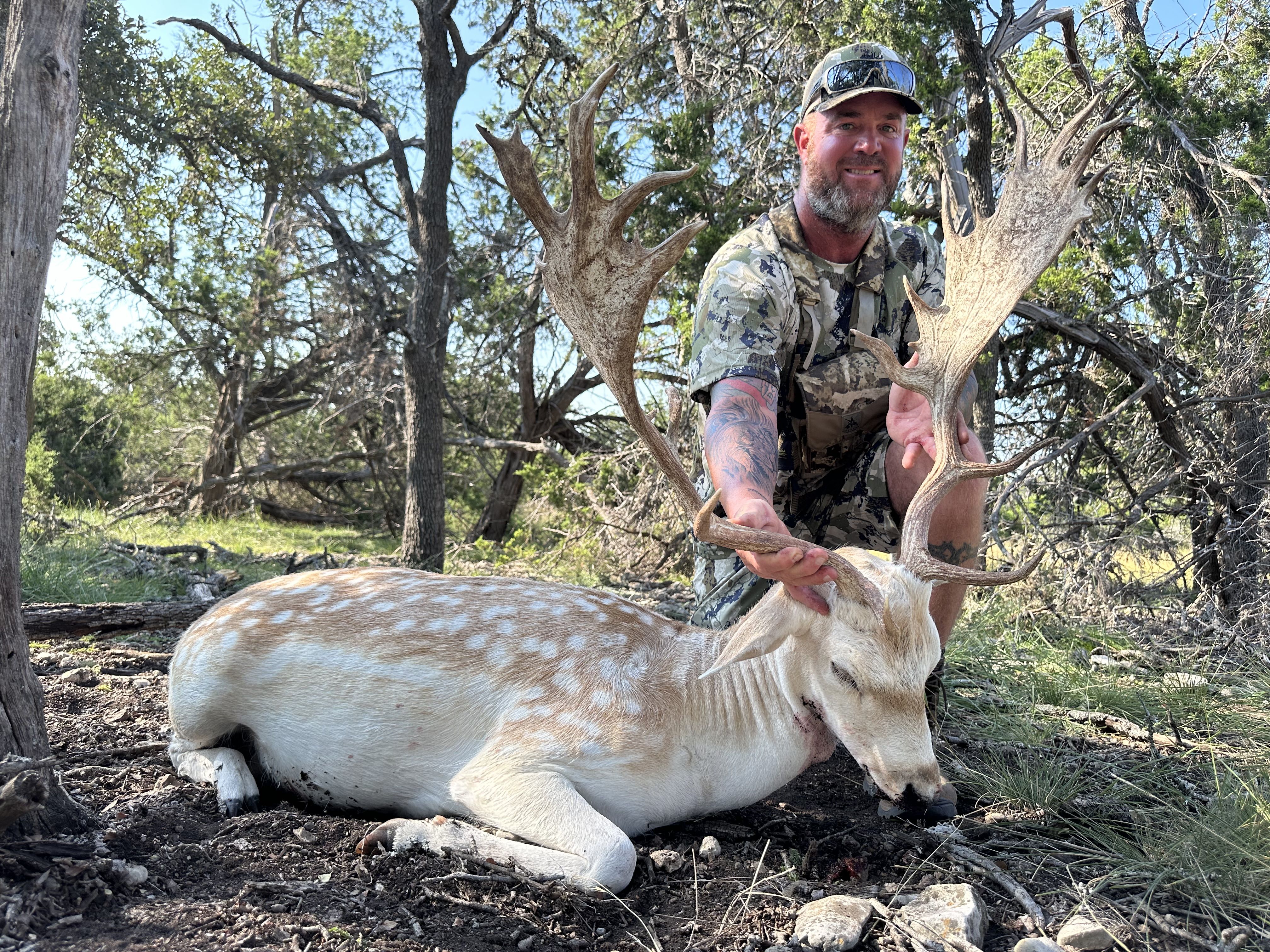 Open media 75