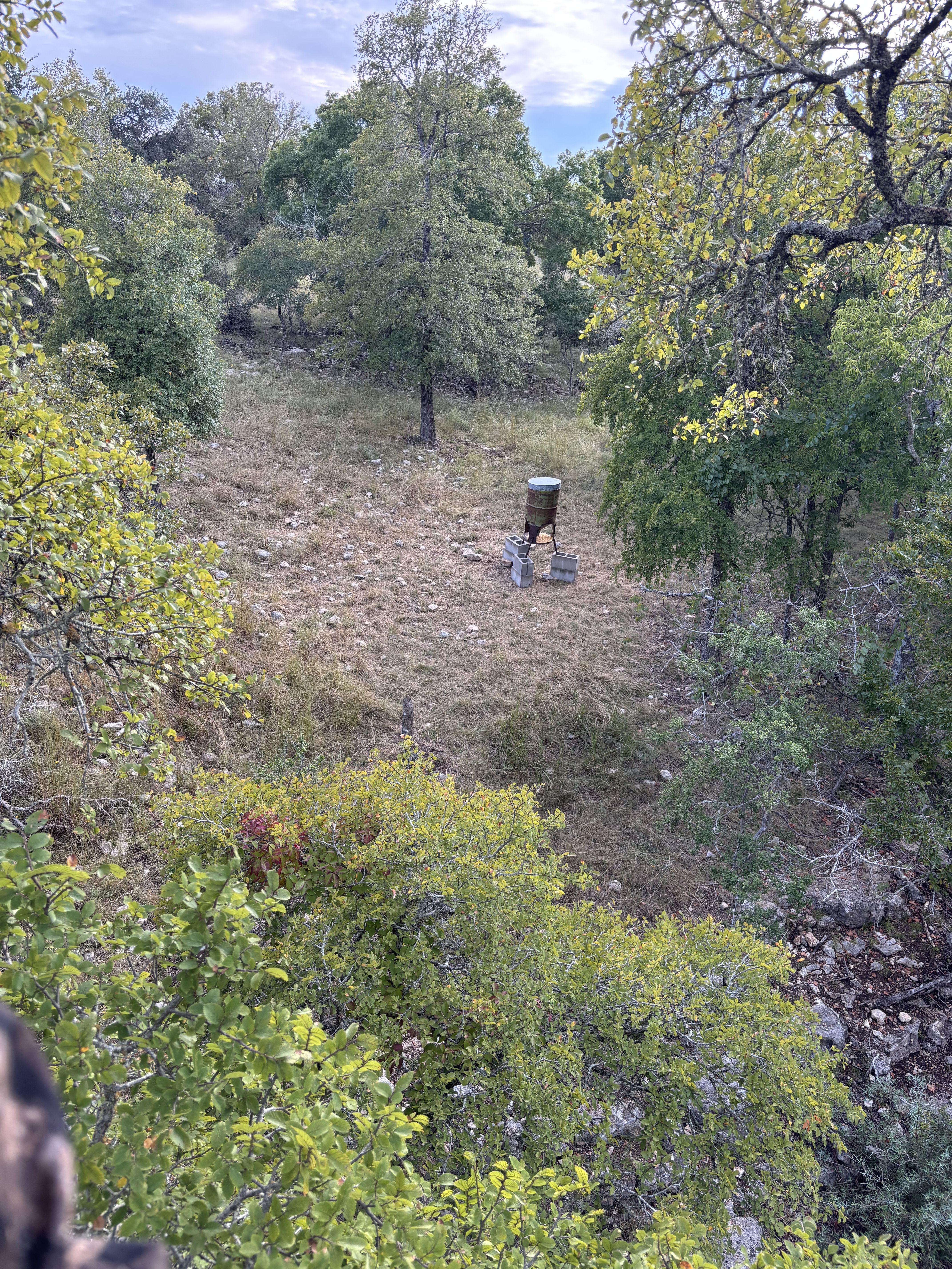 details-image