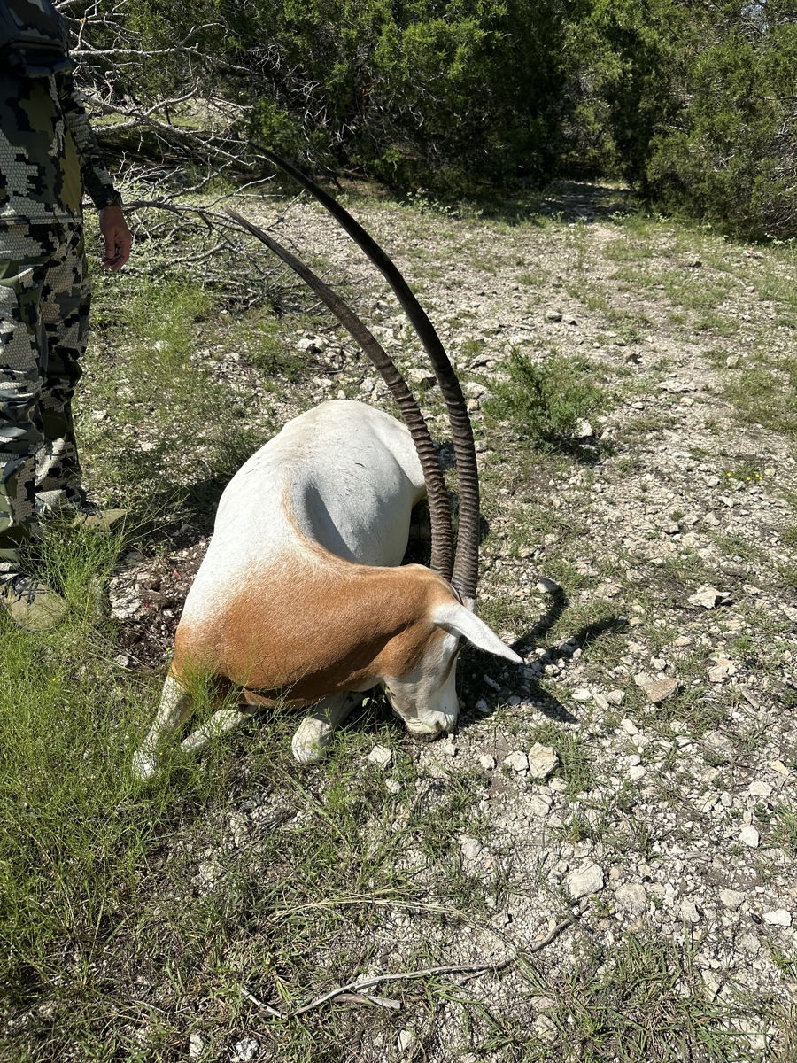 PM Guiding Service hunt photo