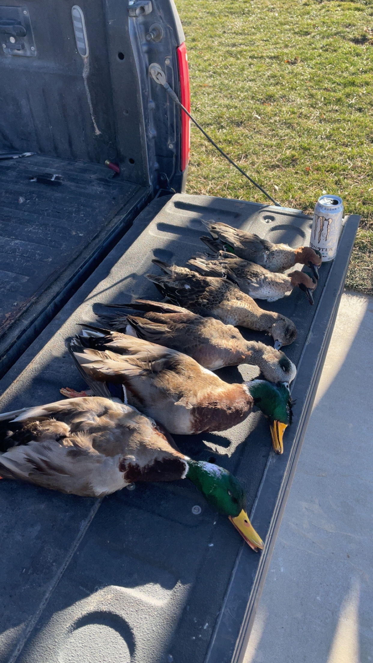 details-image