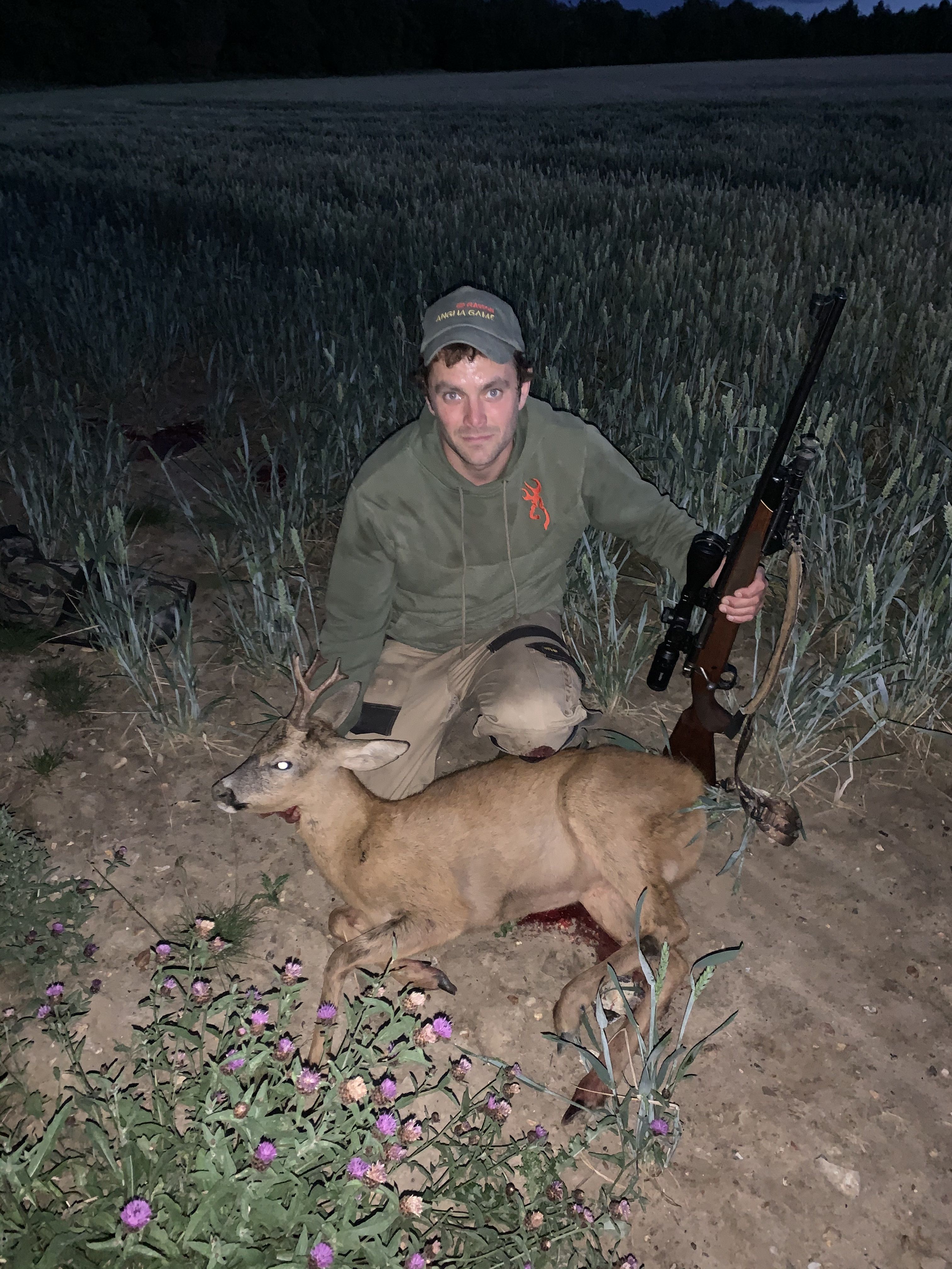 Roe Buck