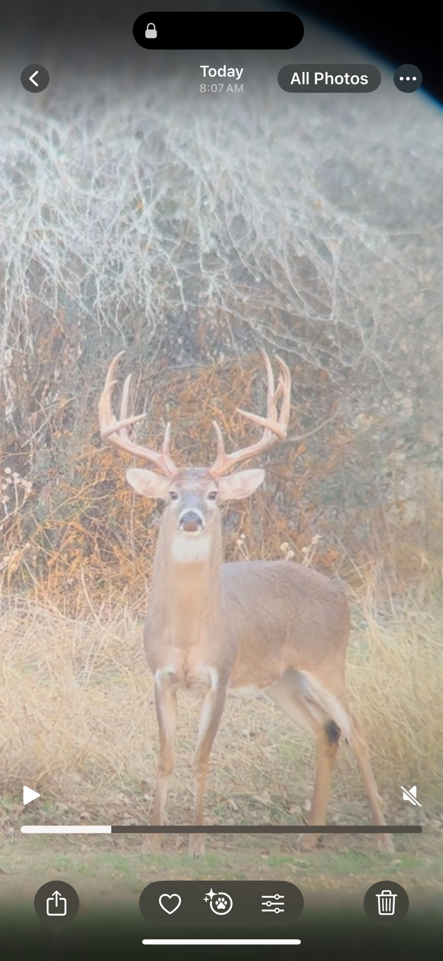PM Guiding Service hunt photo