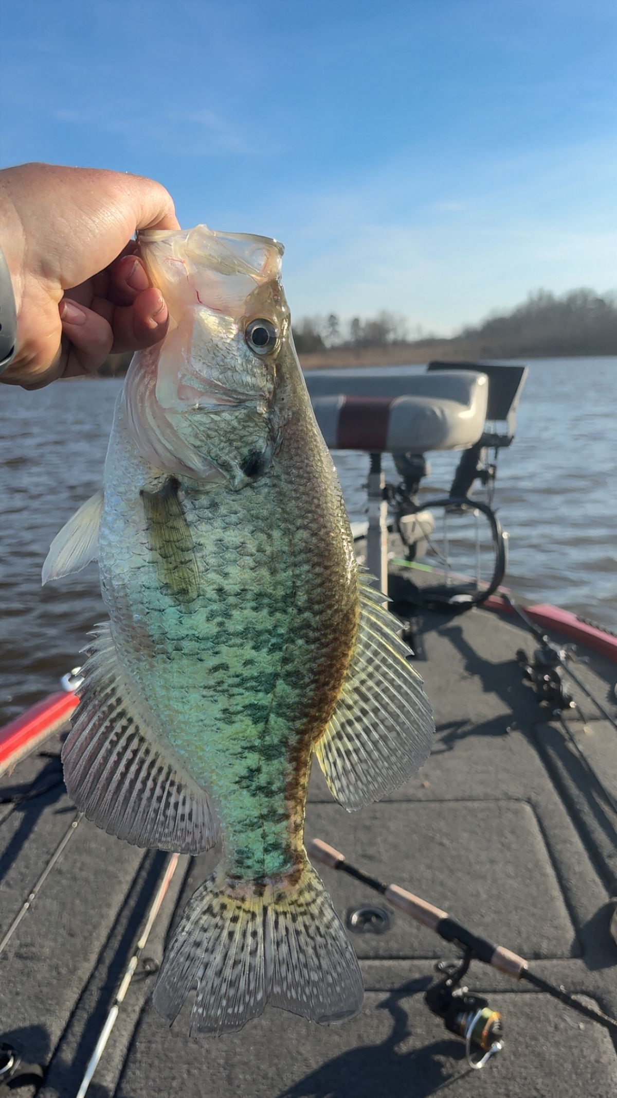 Hooked On Arkansas guided fishing trip