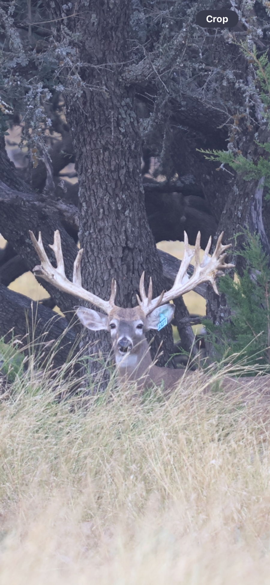 PM Guiding Service hunt photo