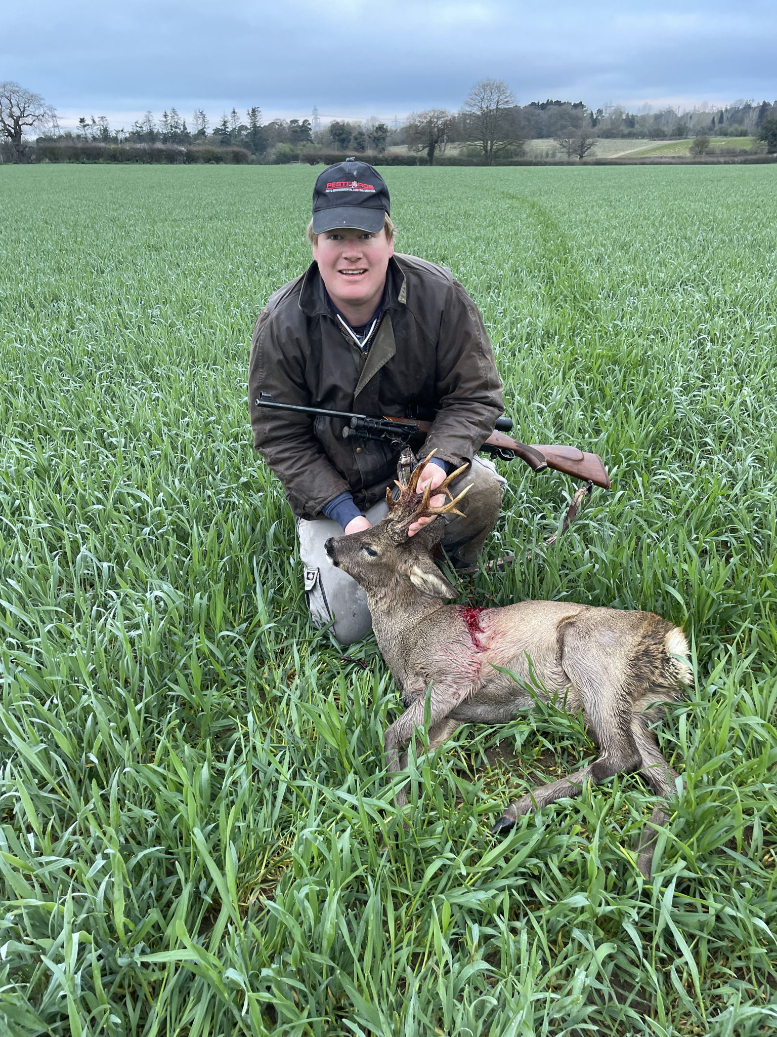Roe Buck