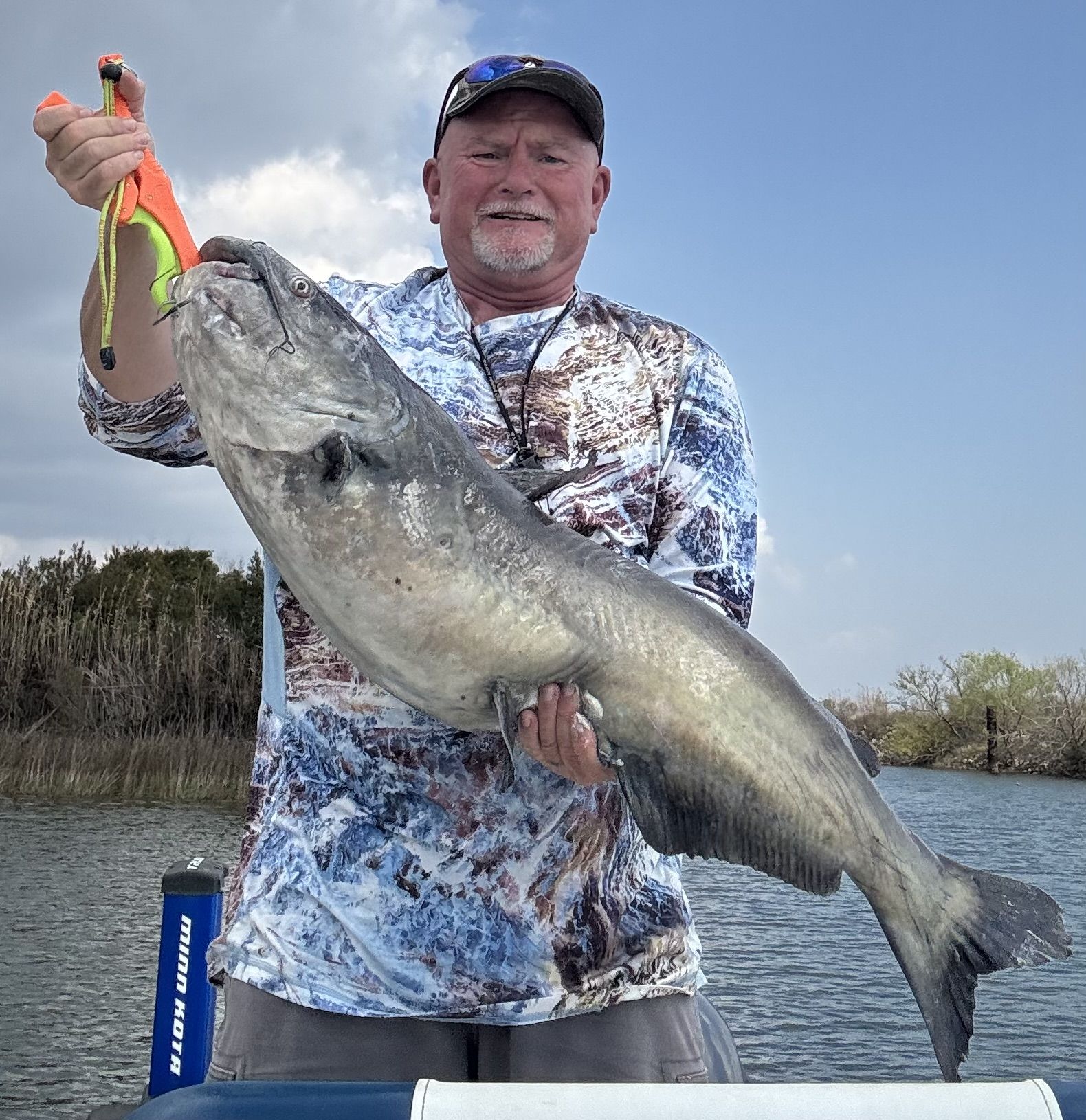 Open media 23