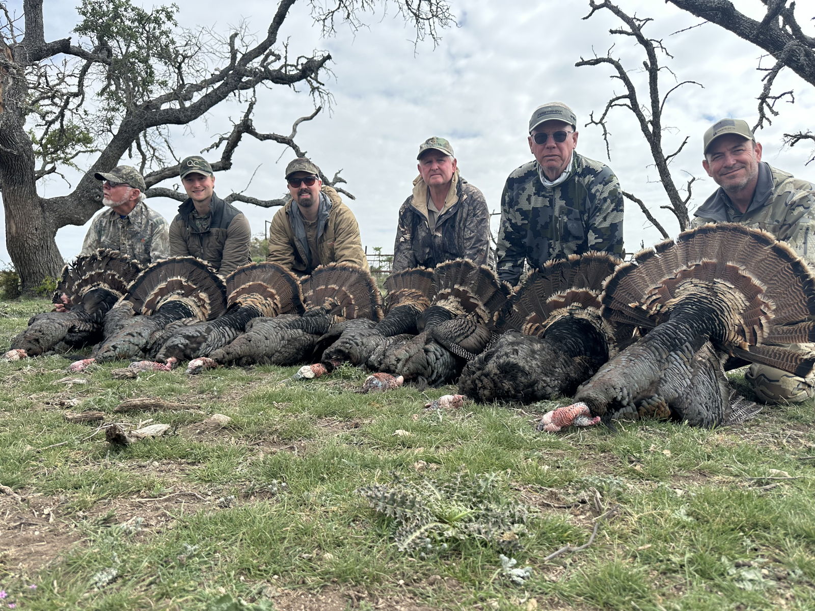 Texas Rio Turkey photo