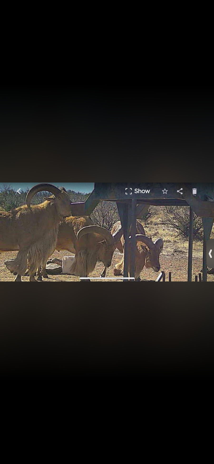 PM Guiding Service hunt photo