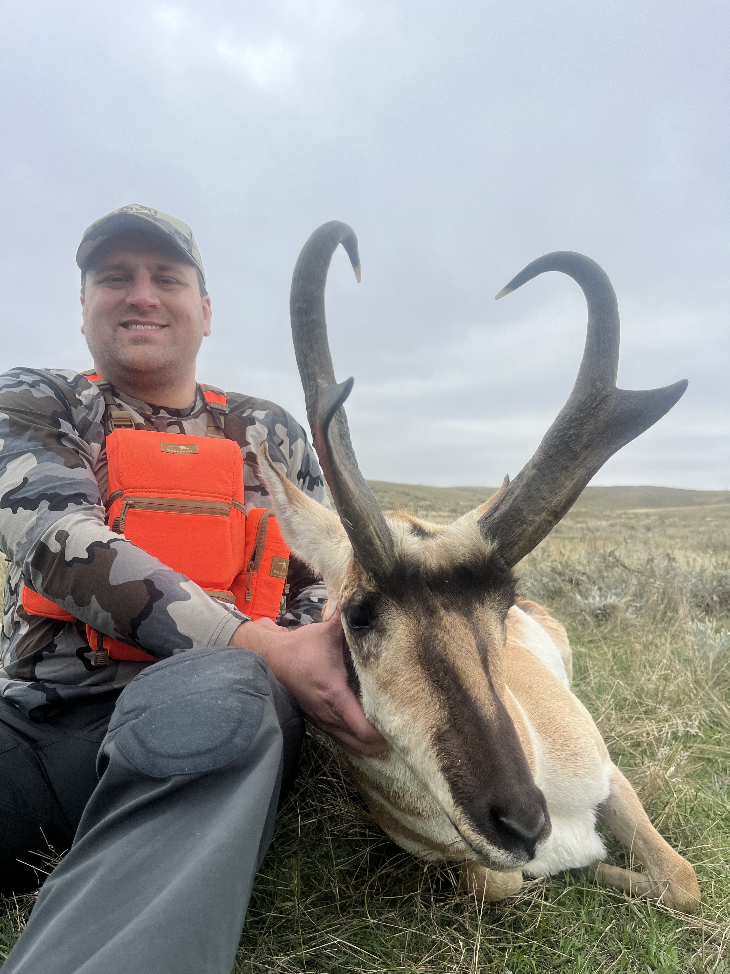 Wyoming Pronghorn