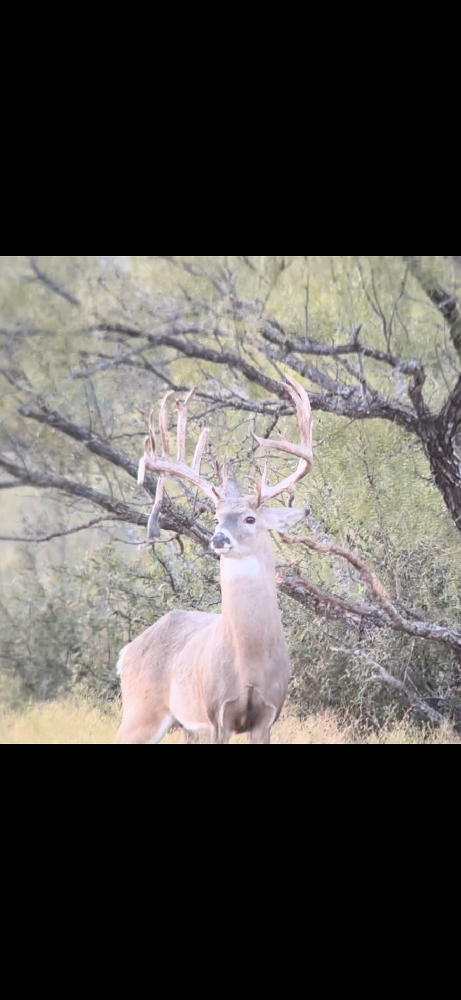 PM Guiding Service hunt photo
