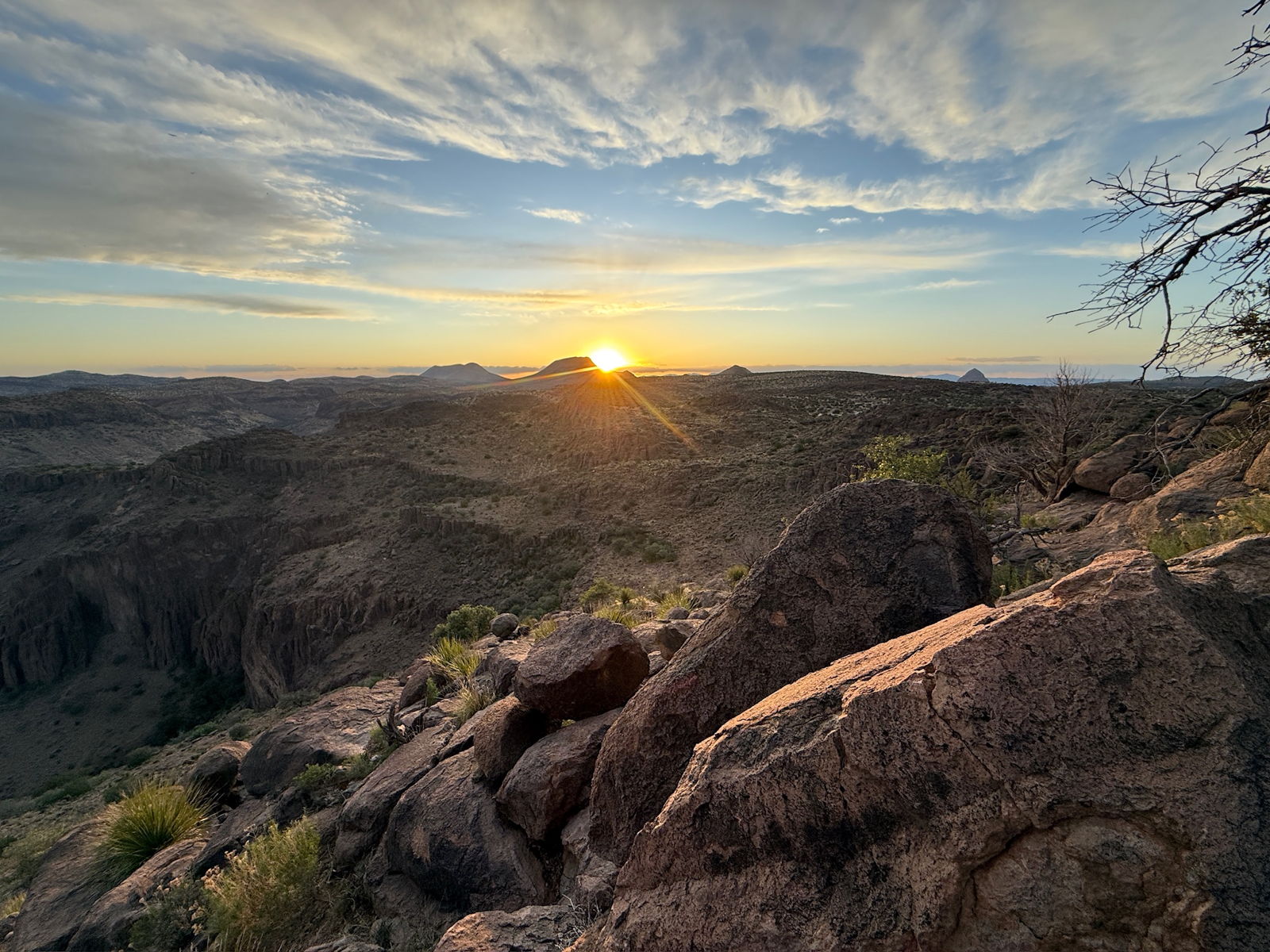 West Texas Aoudad photo