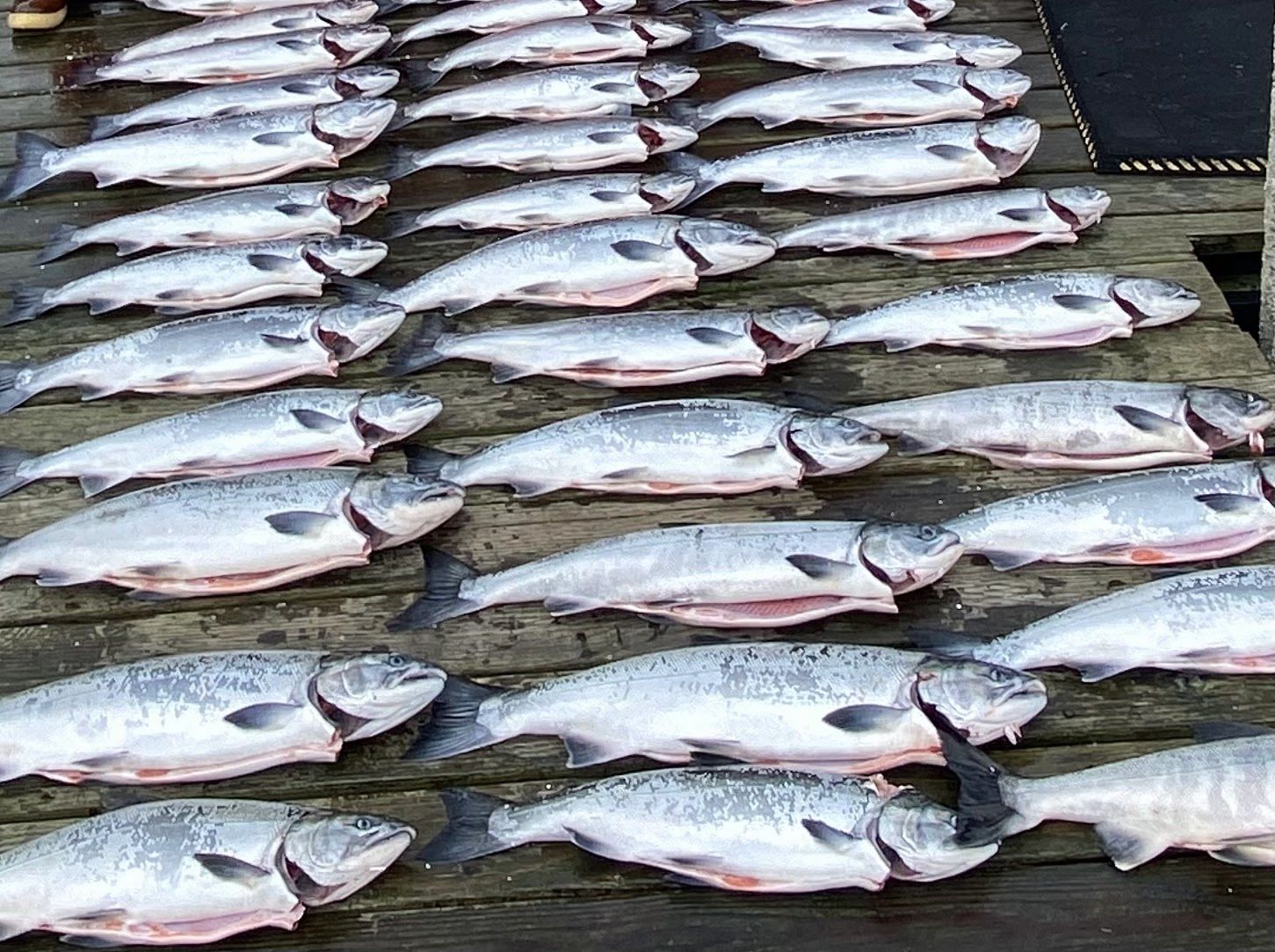 Silver limits!