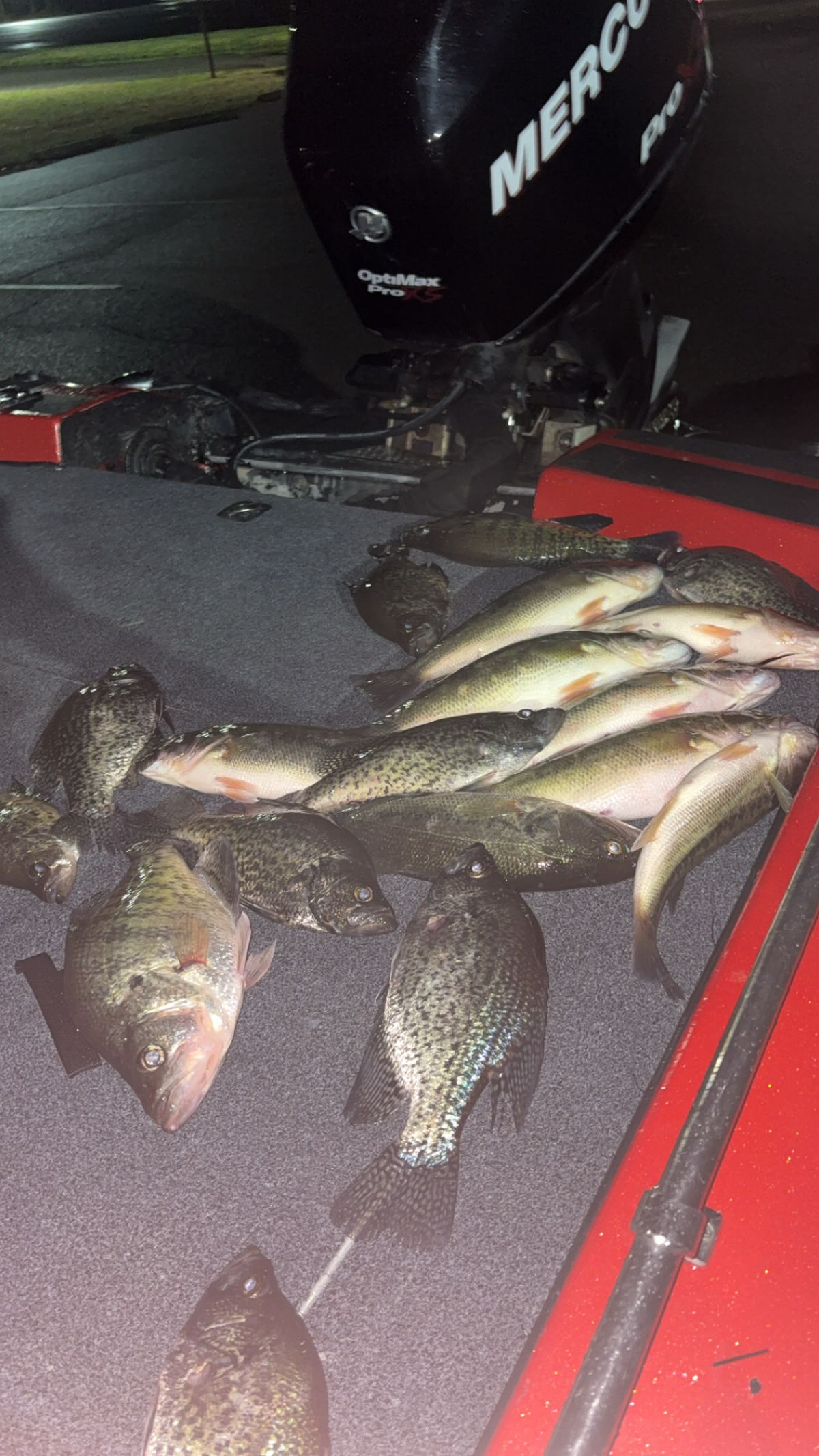 DeGray Lake guided fishing trip