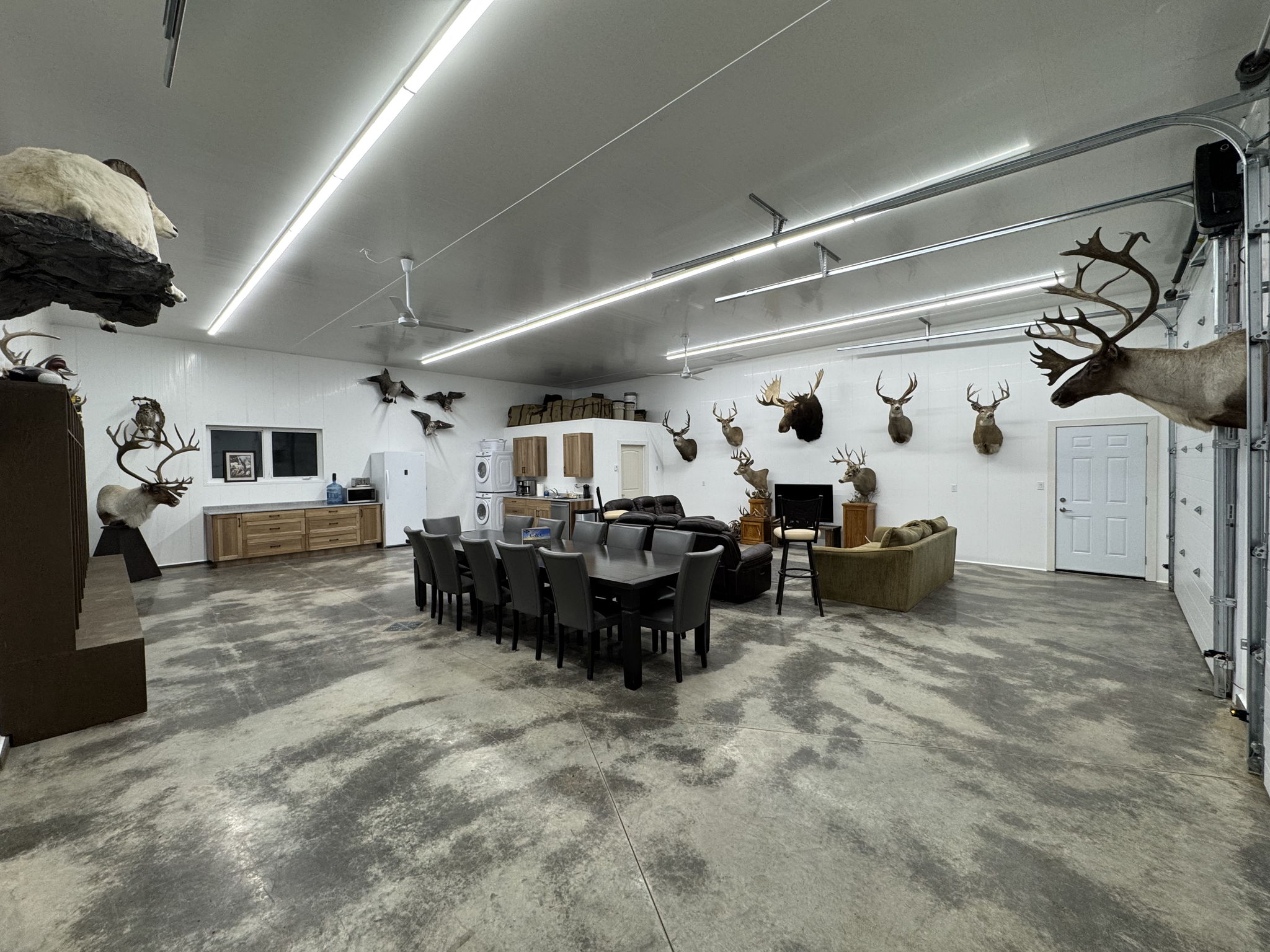 Open media 36