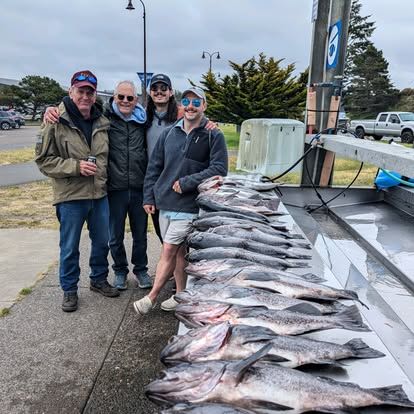 Open media 11