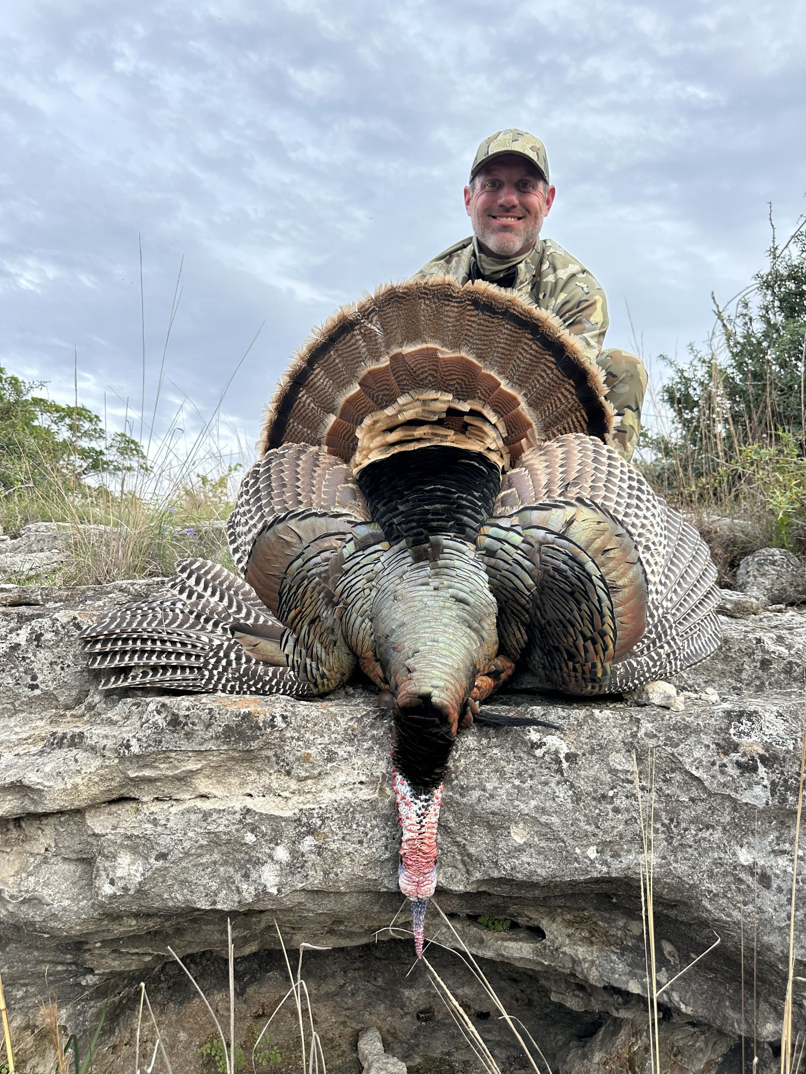 Texas Rio Turkey photo