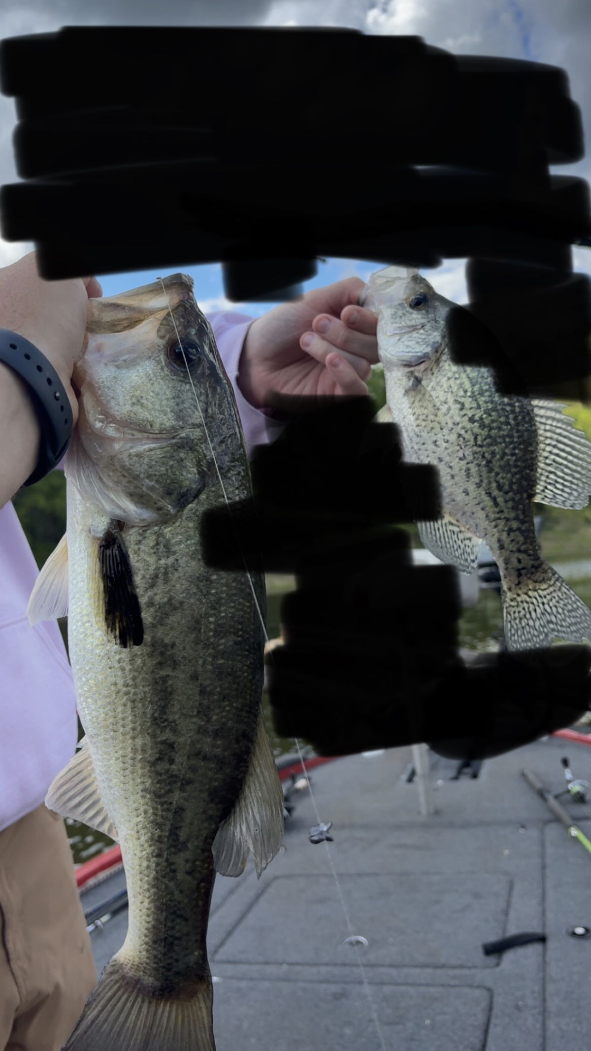 Hooked On Arkansas guided fishing trip