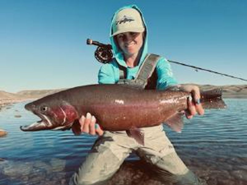 Trout Hunters Guide Service — Montana 5