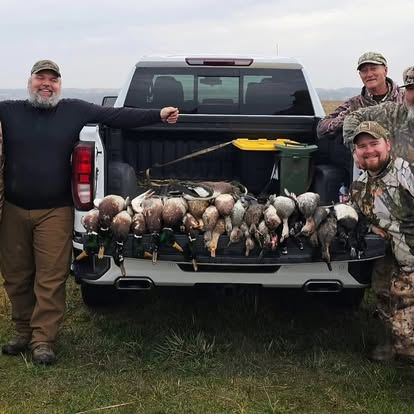 Open media 14