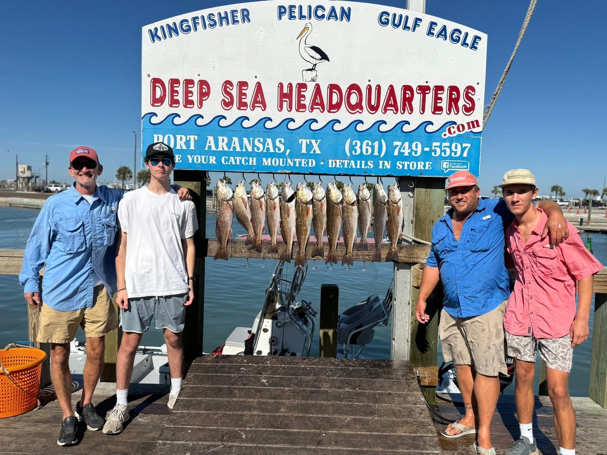 Open media 13